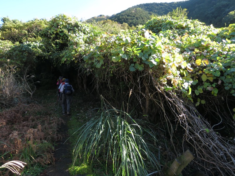 発端丈山