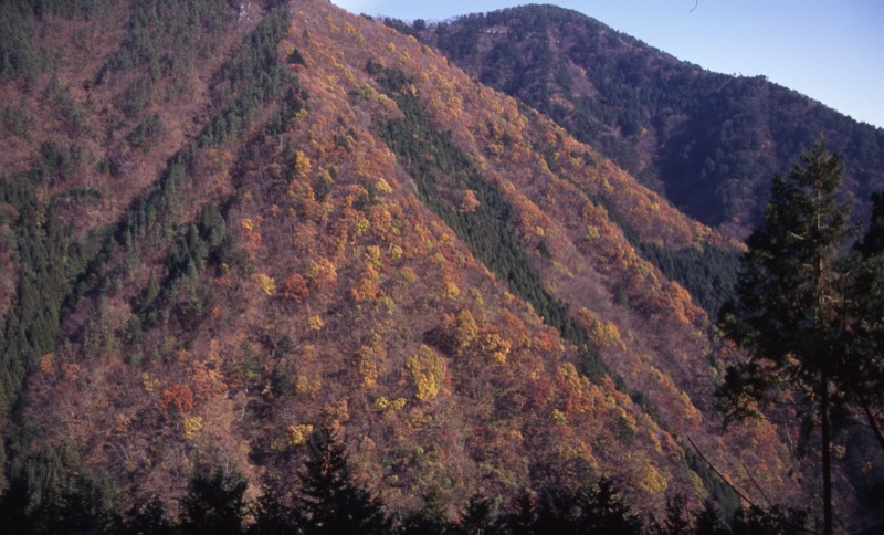 雲取山