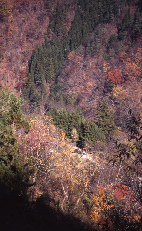 雲取山