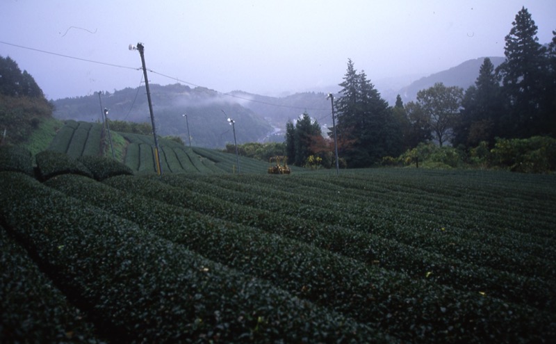 矢倉岳