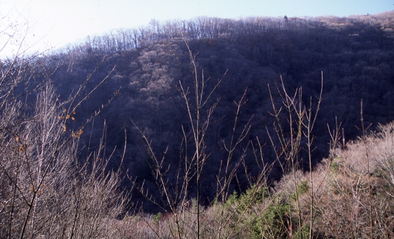 甲武信ヶ岳