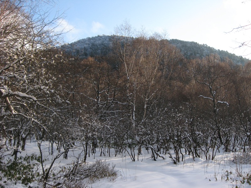 鶏頂山