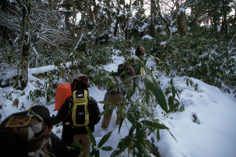 鶏頂山