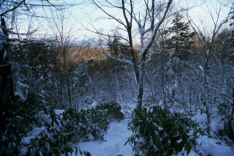 鶏頂山