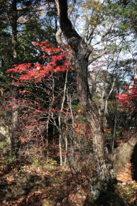 岩山