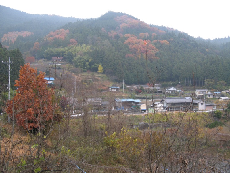 桜山