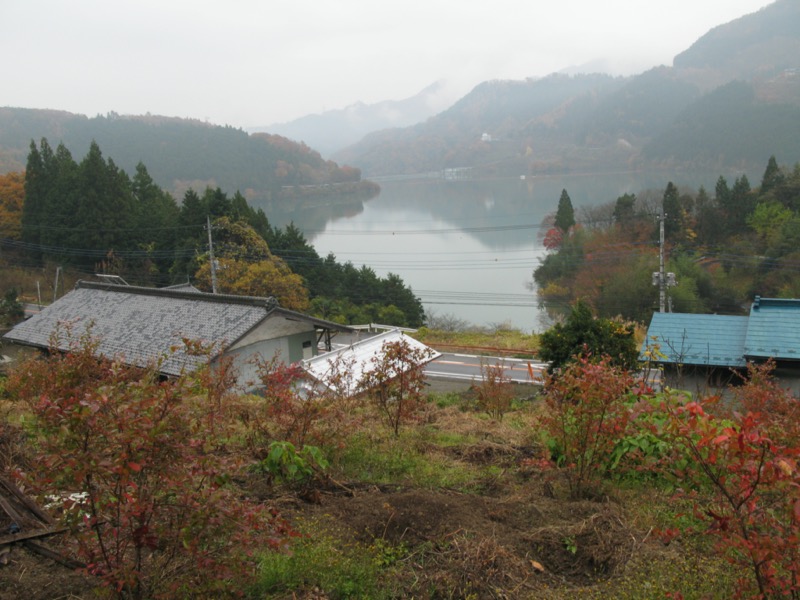 桜山