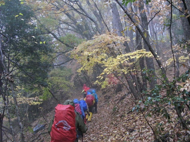 桜山