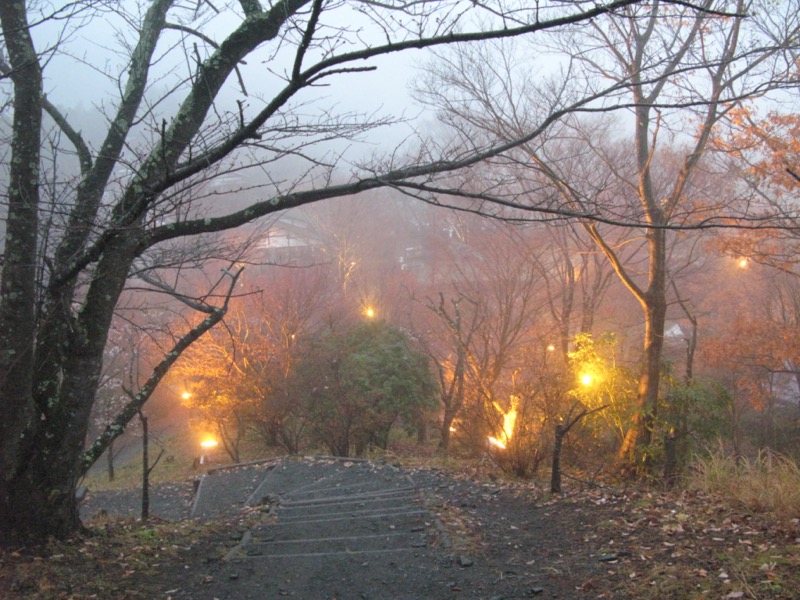 桜山