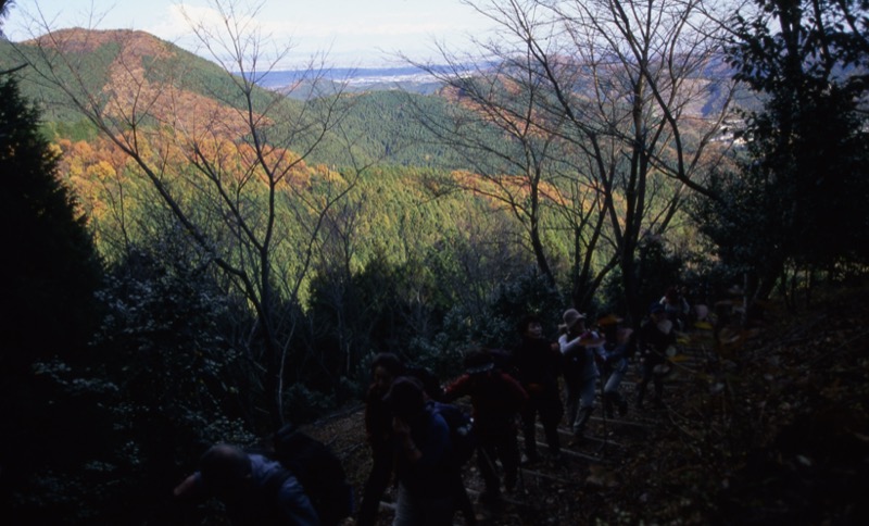 桜山