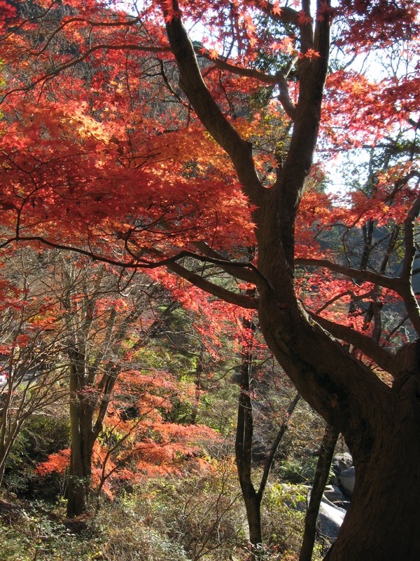 羅漢寺山