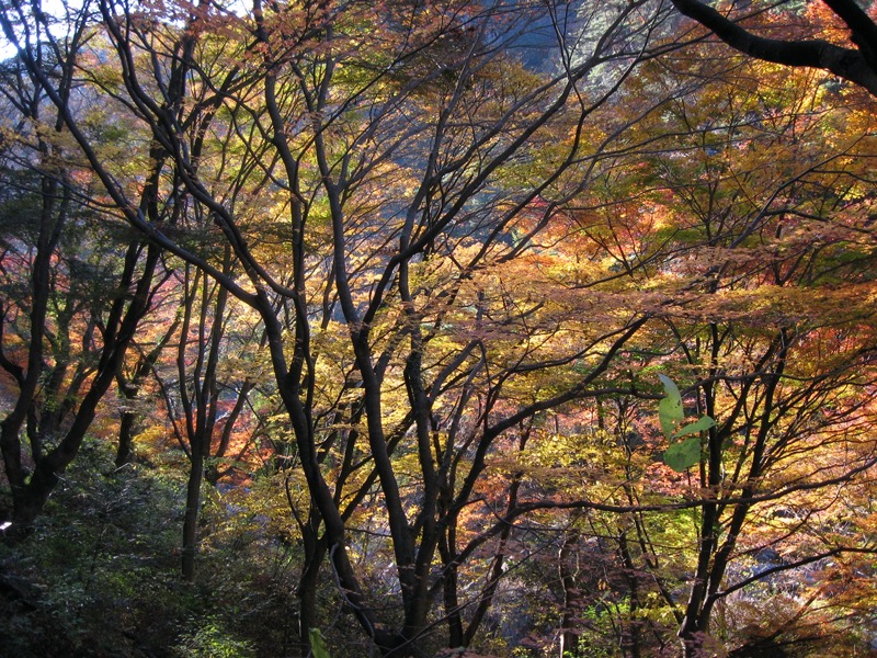 羅漢寺山