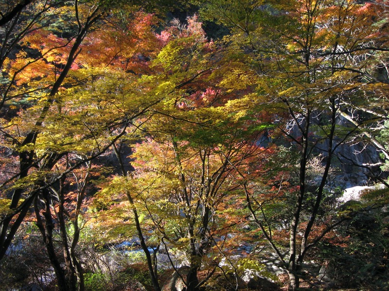 羅漢寺山