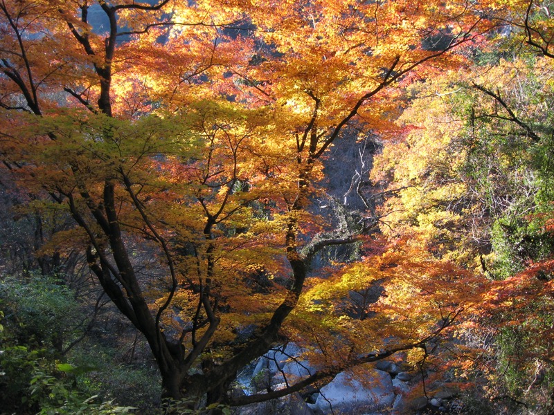 羅漢寺山