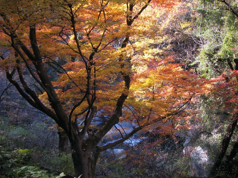 羅漢寺山