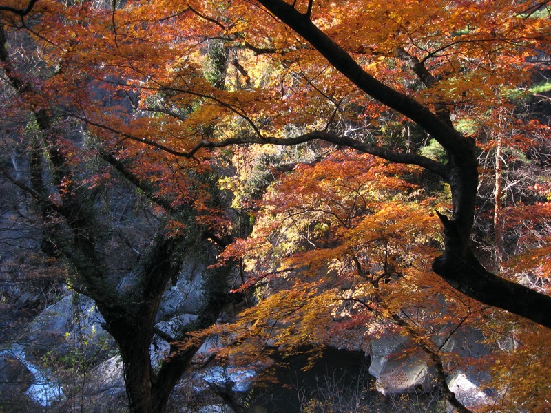 羅漢寺山