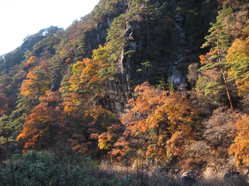 羅漢寺山