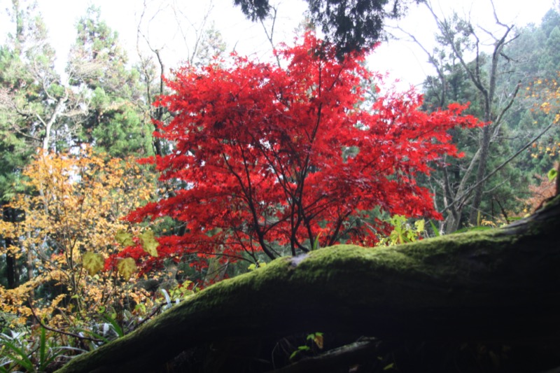 御岳山