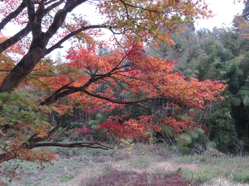 大福山