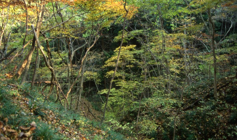 奥久慈・男体山