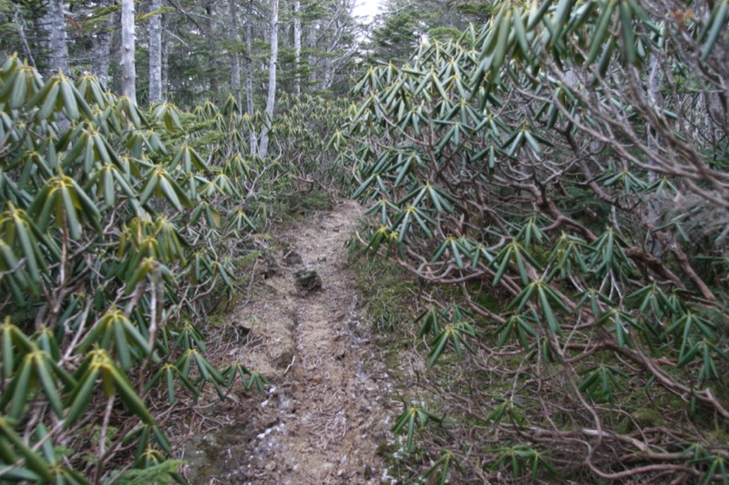 甲武信ヶ岳