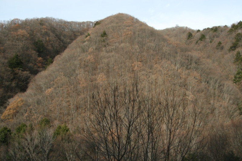 甲武信ヶ岳