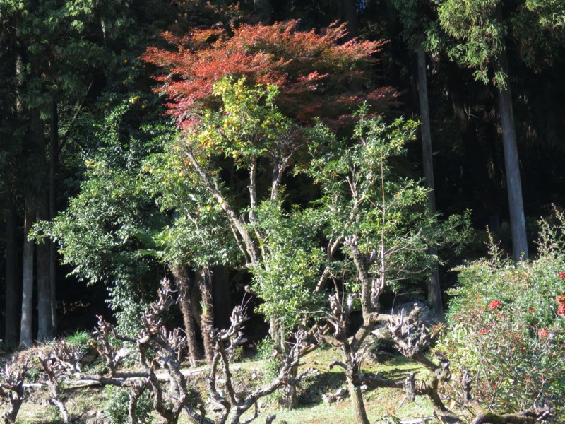 御岳山