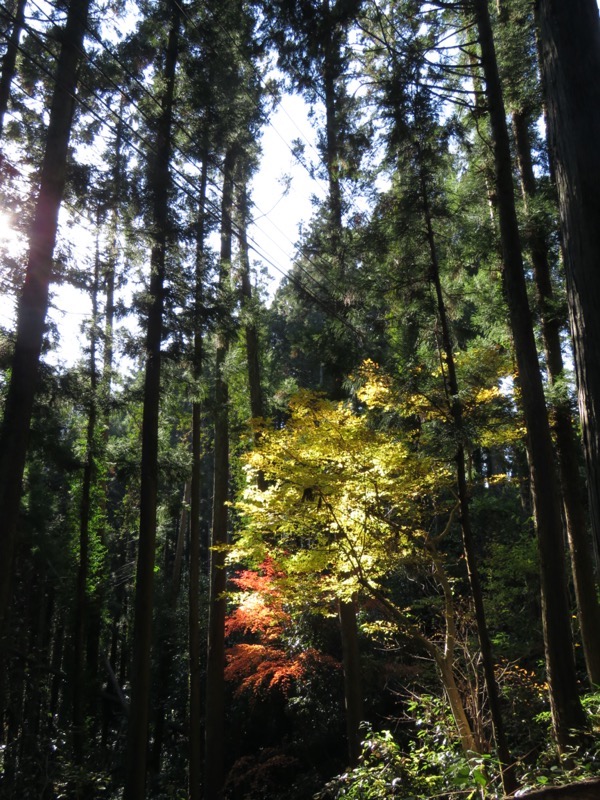 御岳山