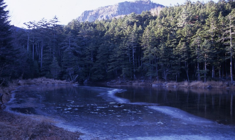 夏沢峠