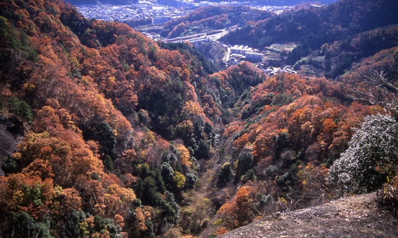 岩殿山