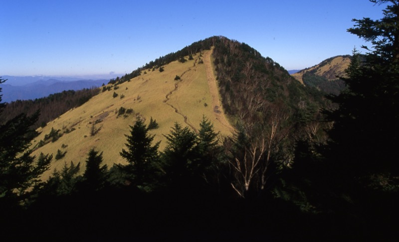 小金沢連嶺