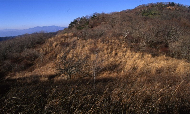 小金沢連嶺