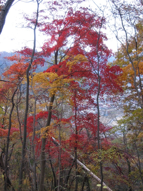 高川山