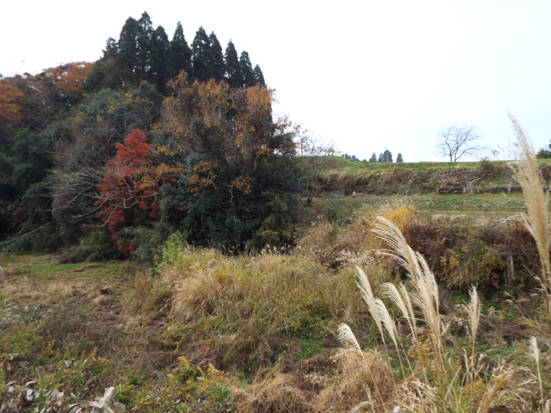 大福山