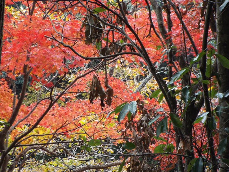 大福山