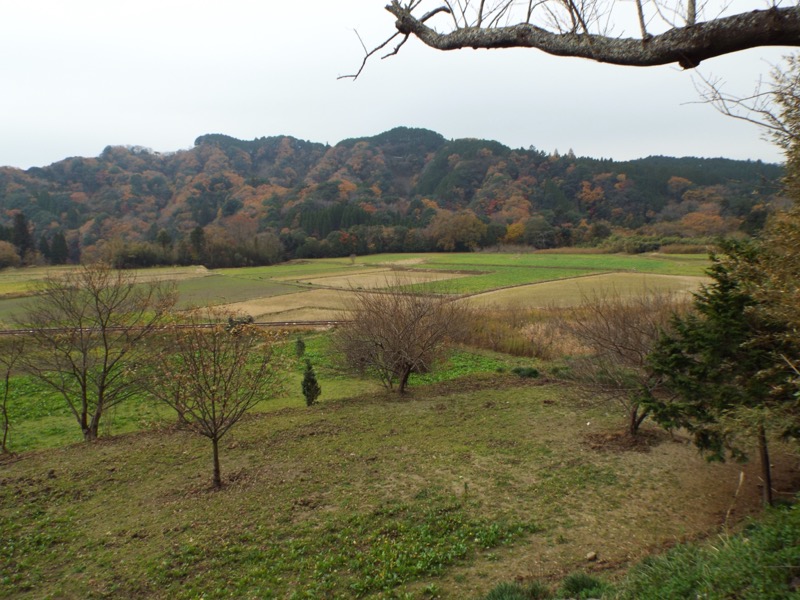 大福山