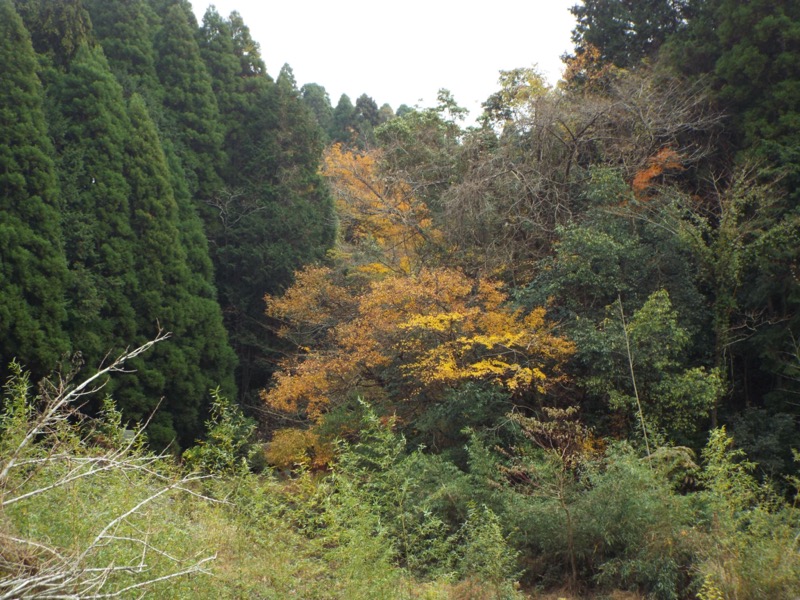 大福山