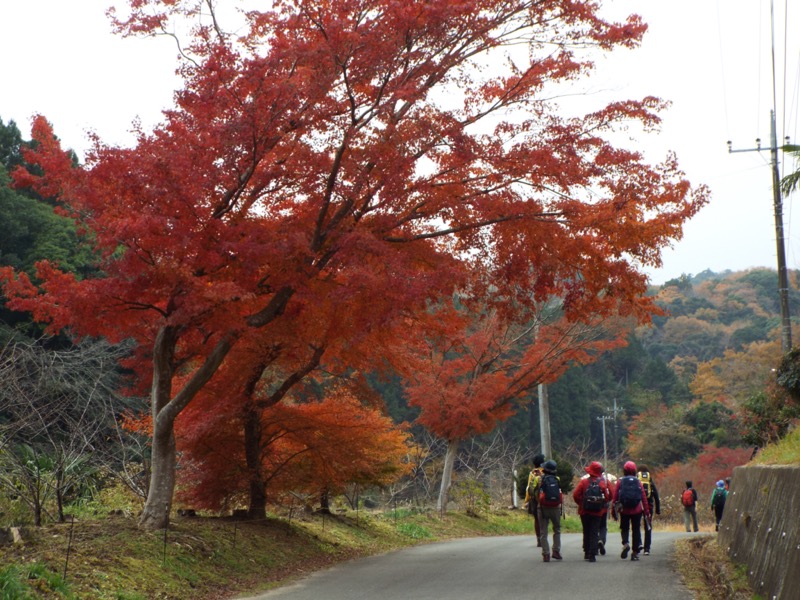 大福山