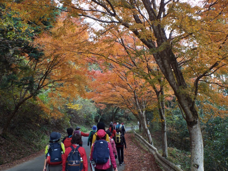 大福山