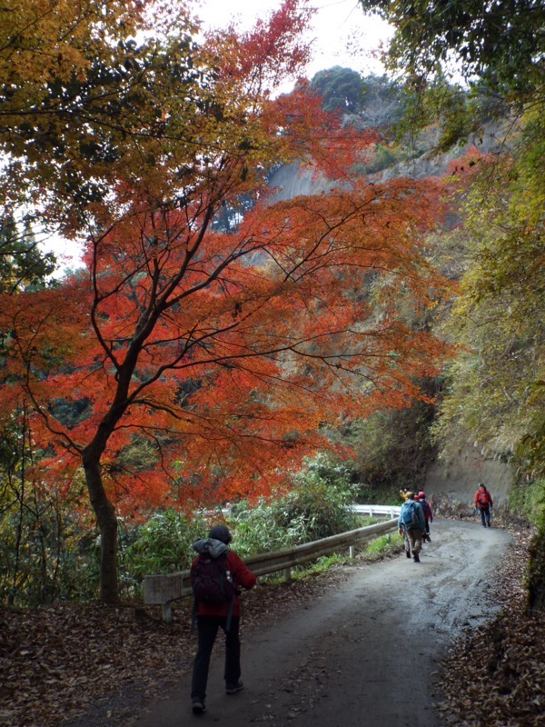 大福山