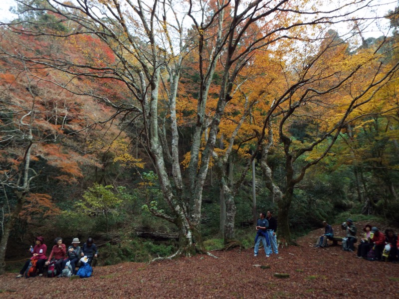 大福山