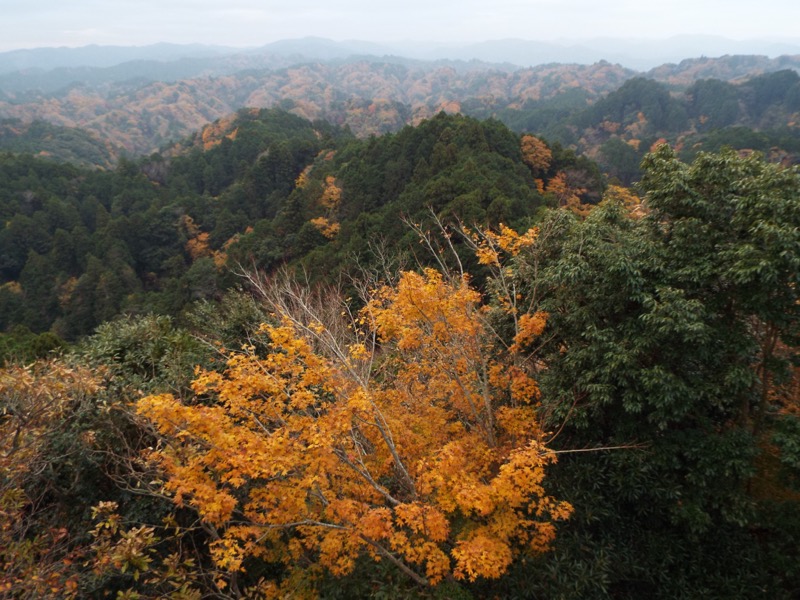 大福山