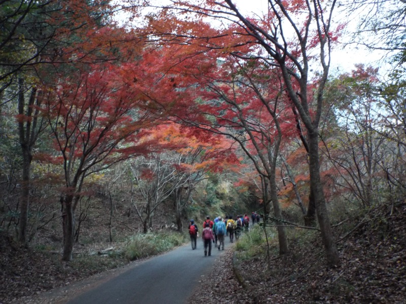 大福山