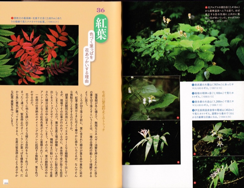 2007.8──『山の道、山の花』（晩聲社）