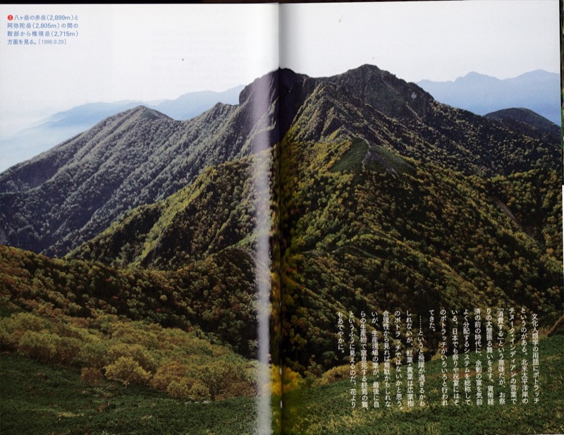 2007.8──『山の道、山の花』（晩聲社）