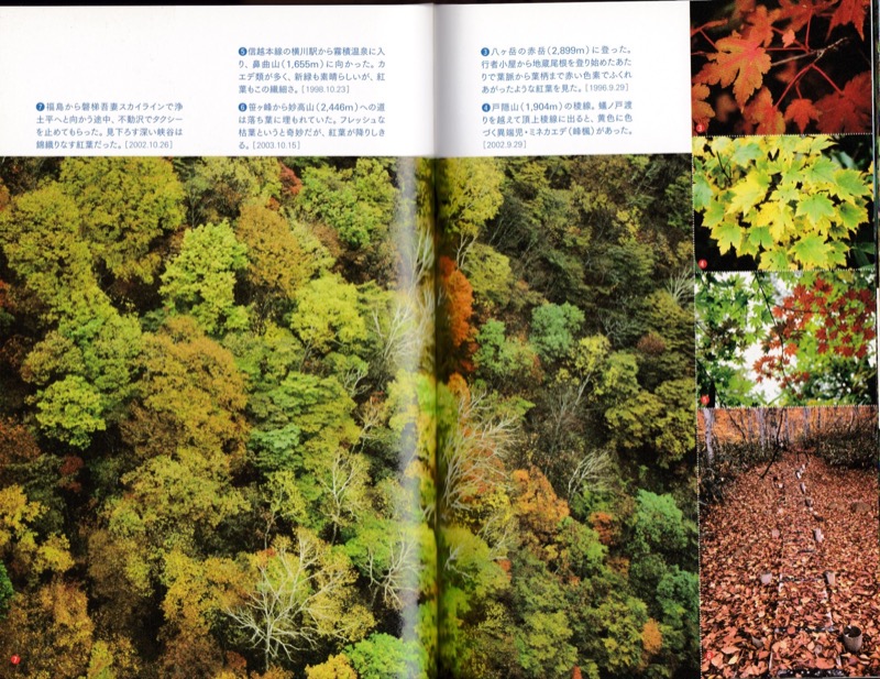 2007.8──『山の道、山の花』（晩聲社）