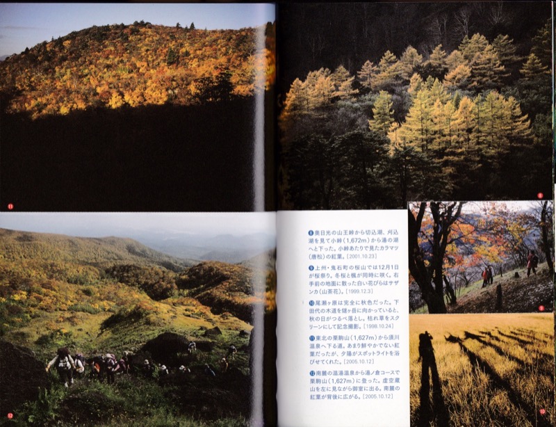 2007.8──『山の道、山の花』（晩聲社）