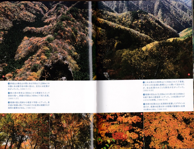 2007.8──『山の道、山の花』（晩聲社）