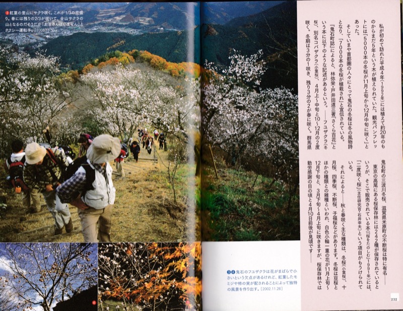 2007.8──『山の道、山の花』（晩聲社）