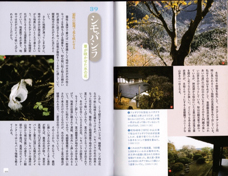 2007.8──『山の道、山の花』（晩聲社）